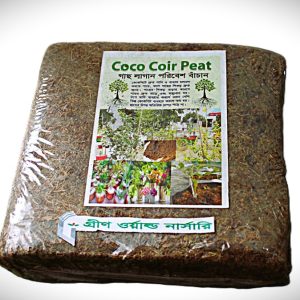 Cocopit 0138