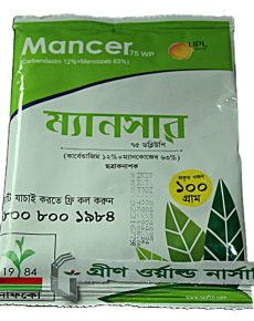 Mancer 0058