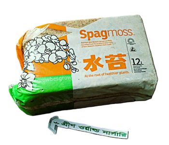 Moss 0134