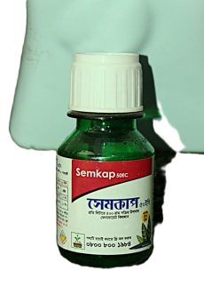 Semkap 0077